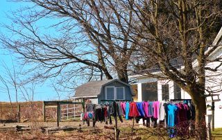 Laundry Hanging Outside in Amish Country