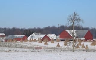 Farm in Amish Country covered with snow with wheat stalks